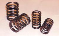 DRP Hard valve springs 12v