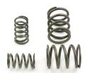 6V HARD PERFORMANCE VALVE SPRINGS